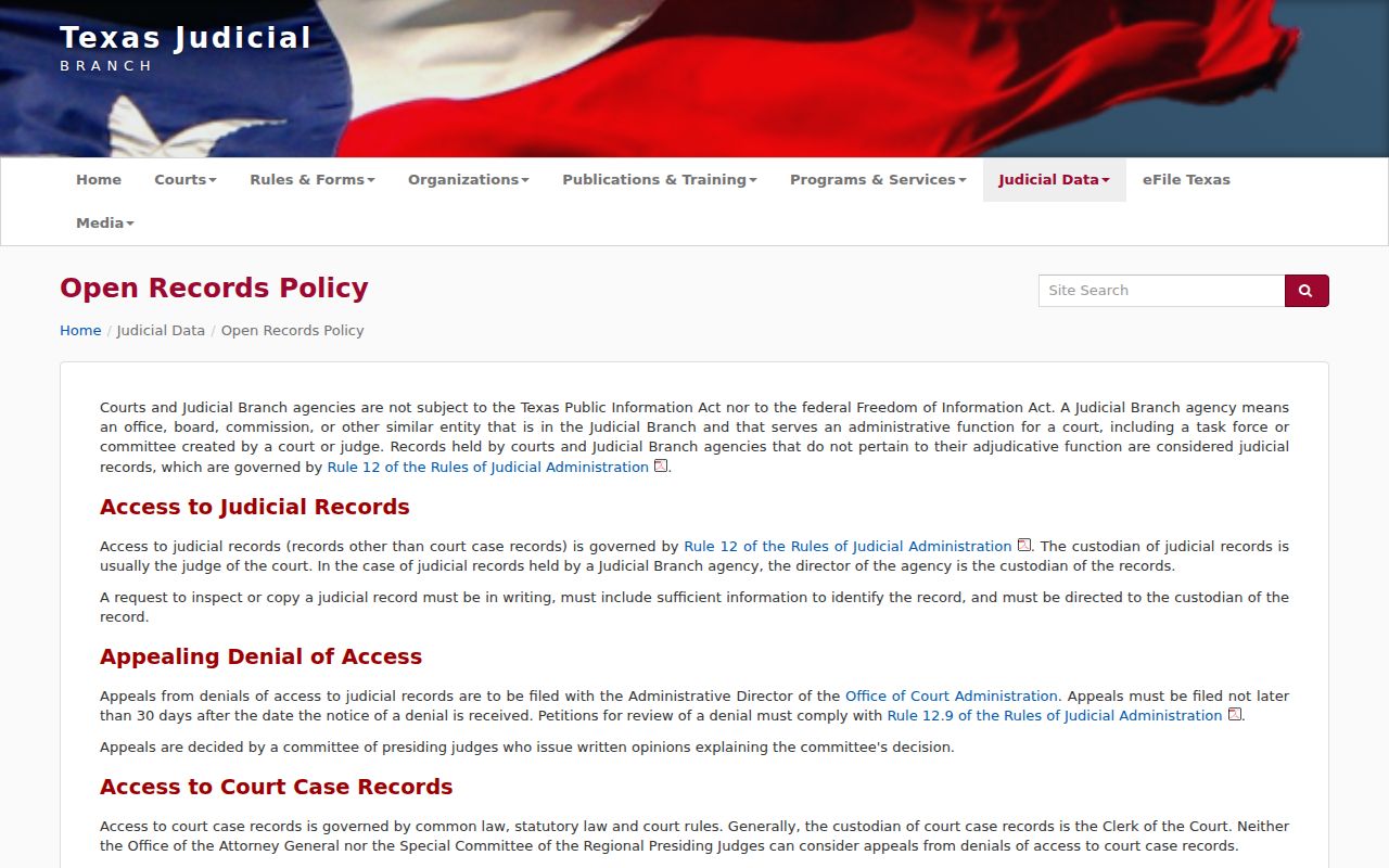 Texas OCA court case and judicial record distinction