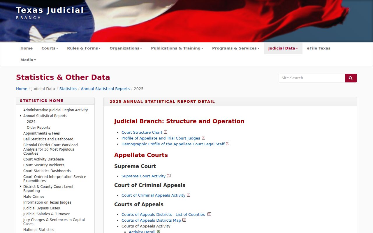 Texas OCA annual court report categories and current-data caveat